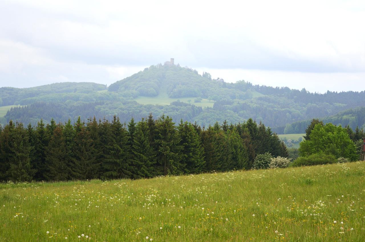 Bed and Breakfast Franky House Am Nuerburgring Quiddelbach Екстер'єр фото